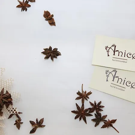 Anice بيت ضيافة